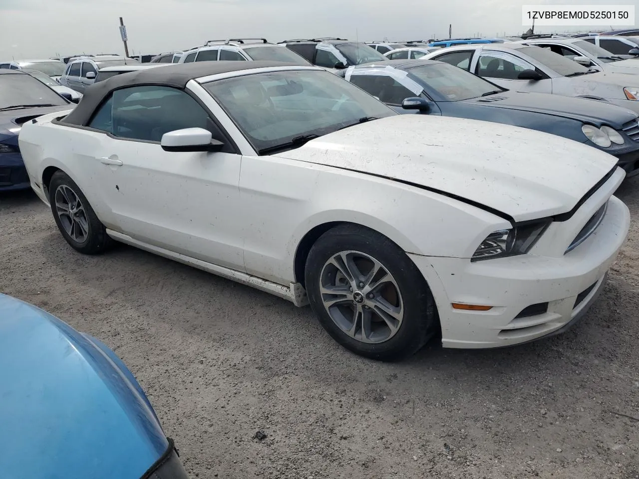 2013 Ford Mustang VIN: 1ZVBP8EM0D5250150 Lot: 75910524