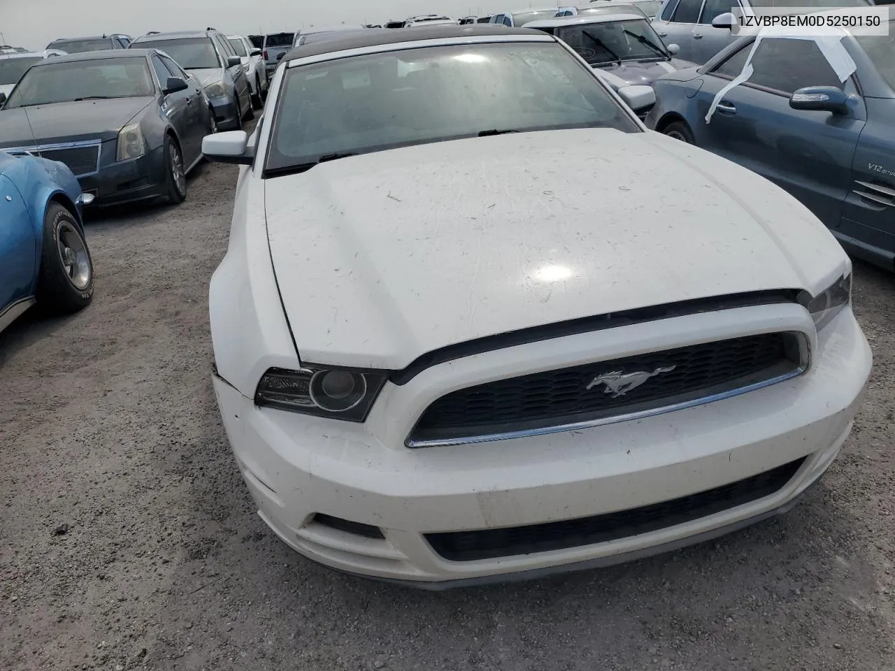 2013 Ford Mustang VIN: 1ZVBP8EM0D5250150 Lot: 75910524