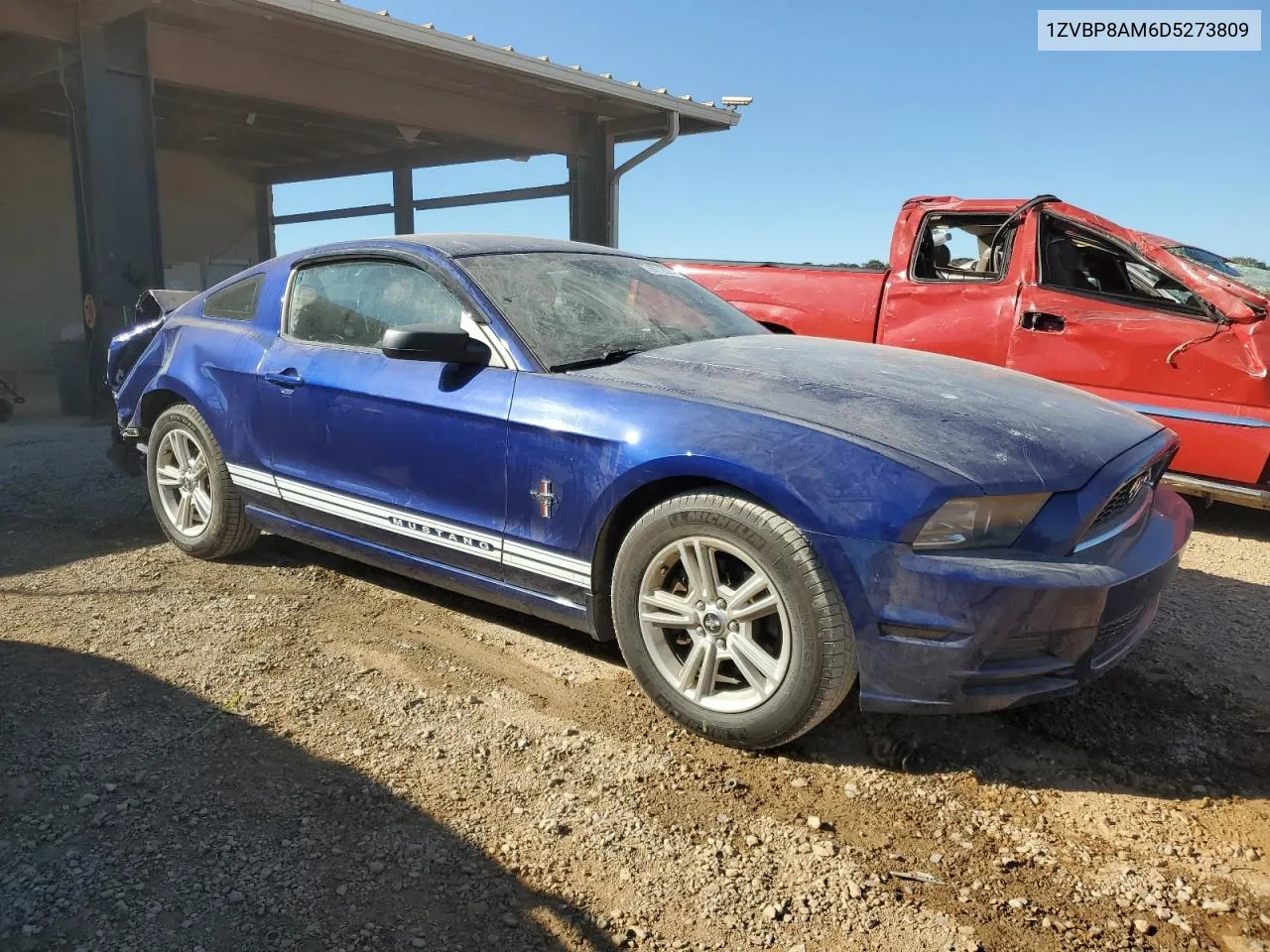 2013 Ford Mustang VIN: 1ZVBP8AM6D5273809 Lot: 76772074