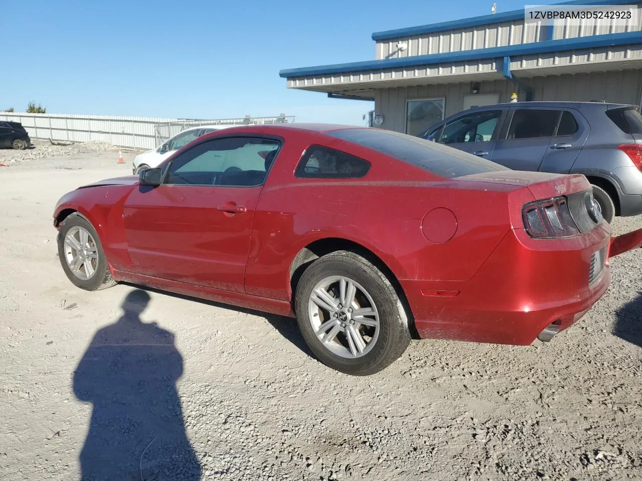 2013 Ford Mustang VIN: 1ZVBP8AM3D5242923 Lot: 77094164