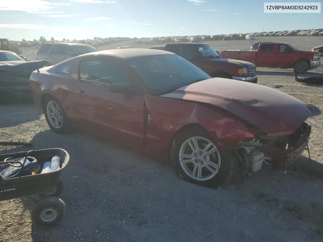 2013 Ford Mustang VIN: 1ZVBP8AM3D5242923 Lot: 77094164