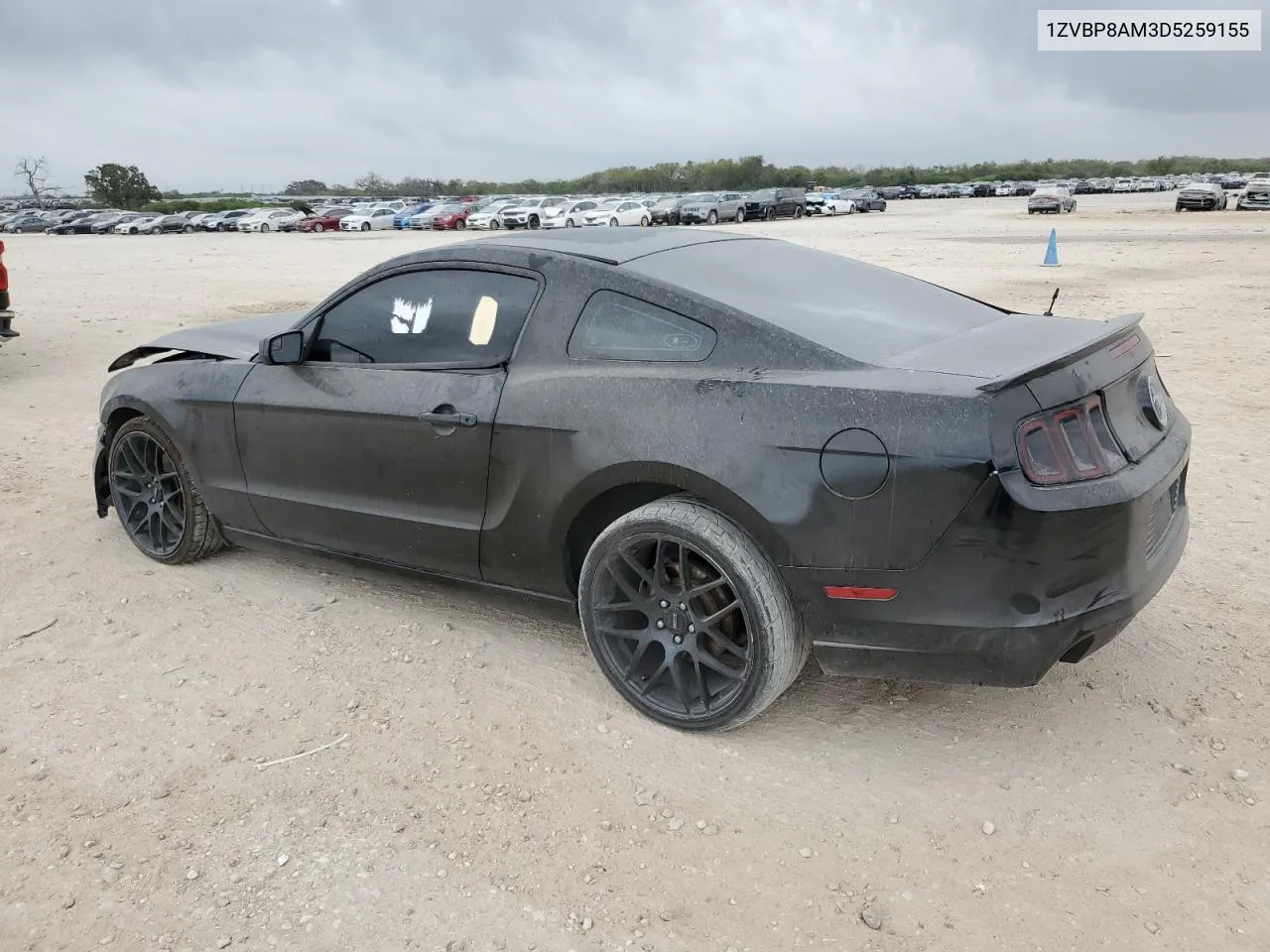 2013 Ford Mustang VIN: 1ZVBP8AM3D5259155 Lot: 78911174