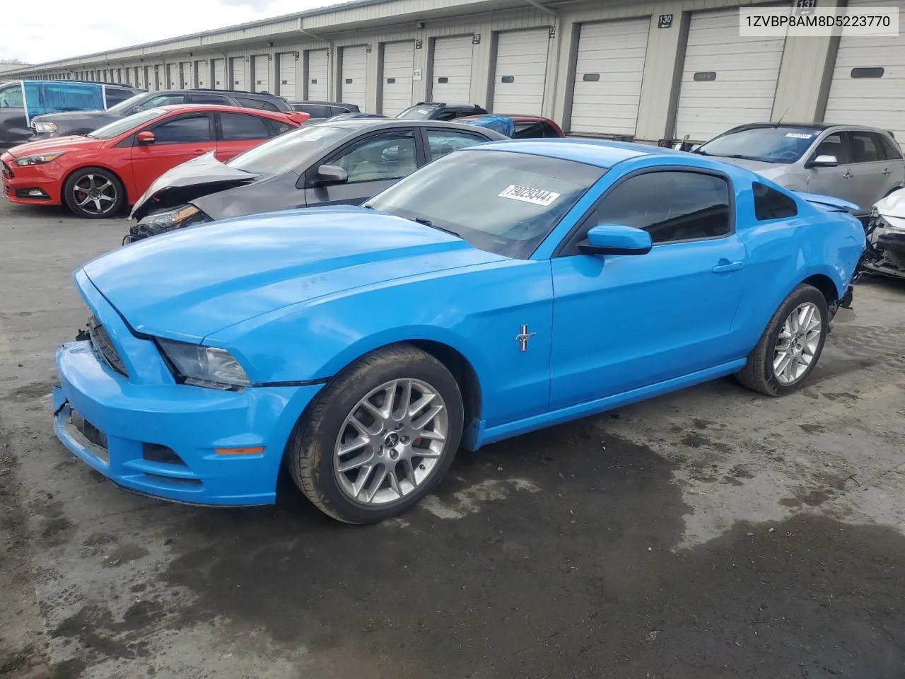 2013 Ford Mustang VIN: 1ZVBP8AM8D5223770 Lot: 79029344