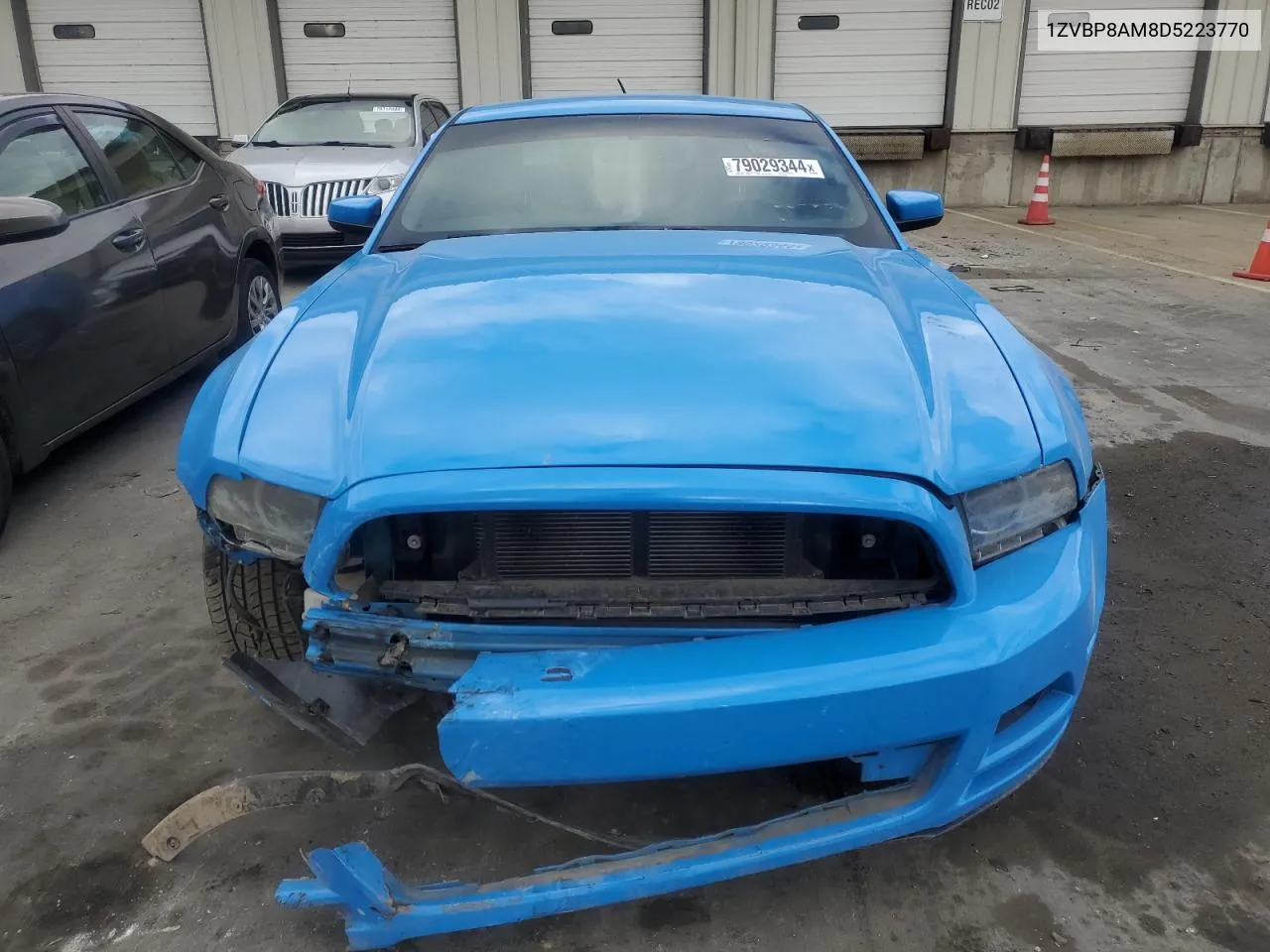 2013 Ford Mustang VIN: 1ZVBP8AM8D5223770 Lot: 79029344