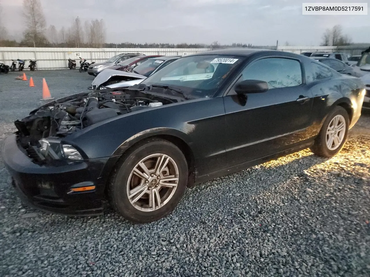 2013 Ford Mustang VIN: 1ZVBP8AM0D5217591 Lot: 79520014