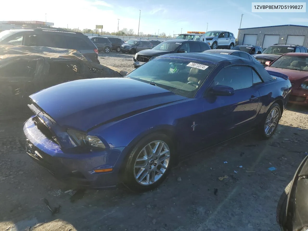 2013 Ford Mustang VIN: 1ZVBP8EM7D5199827 Lot: 79877374