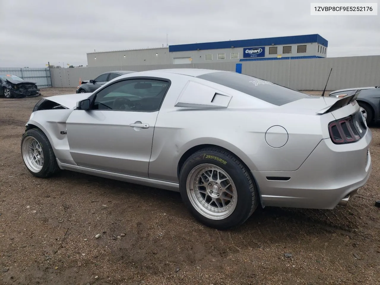 2014 Ford Mustang Gt VIN: 1ZVBP8CF9E5252176 Lot: 53281474