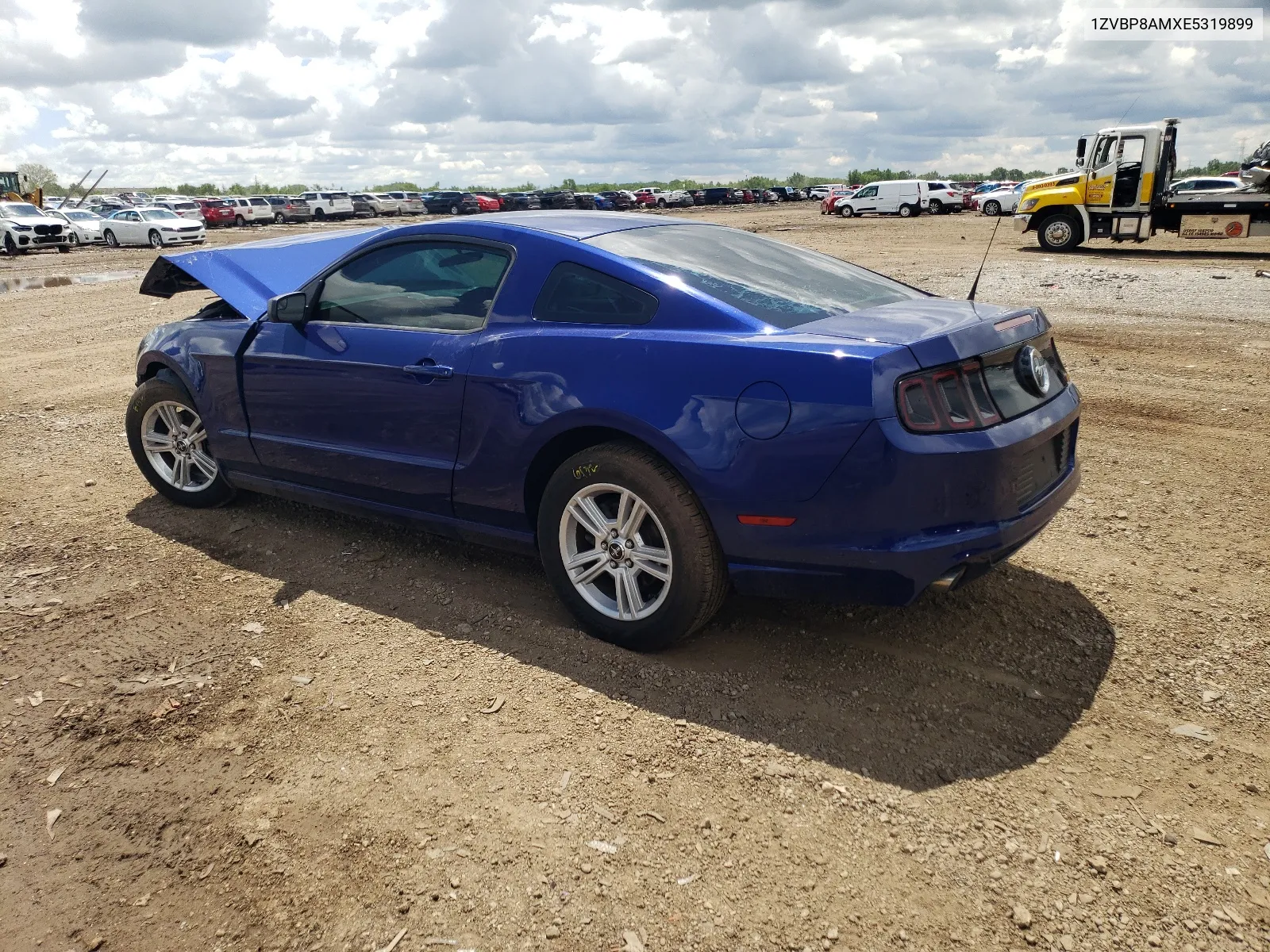 2014 Ford Mustang VIN: 1ZVBP8AMXE5319899 Lot: 56683614