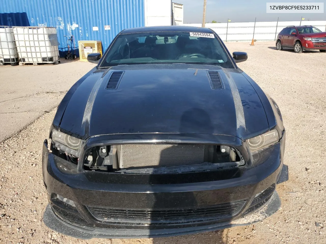 1ZVBP8CF9E5233711 2014 Ford Mustang Gt