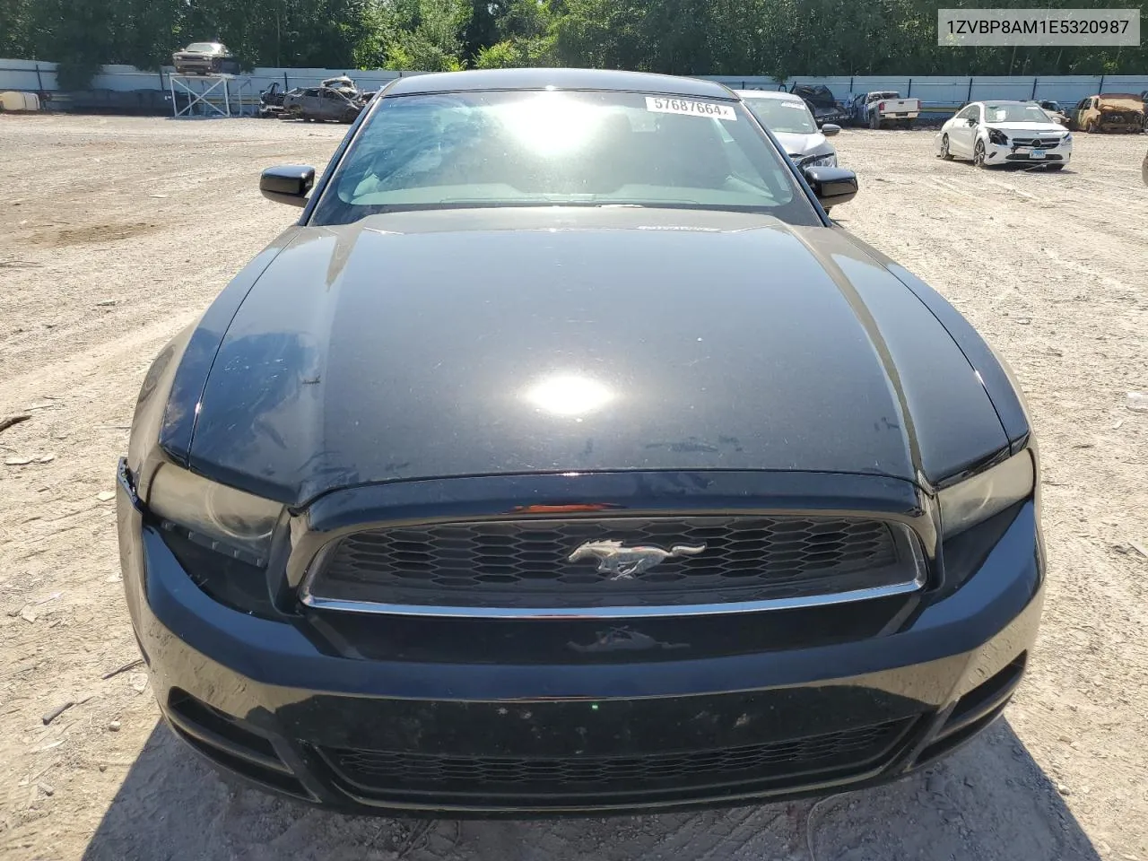 1ZVBP8AM1E5320987 2014 Ford Mustang