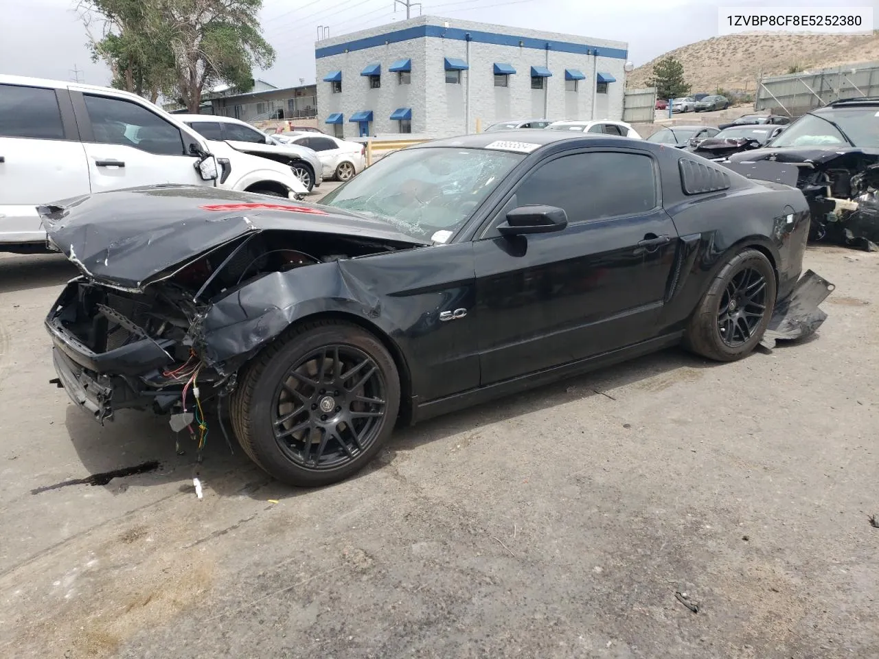 1ZVBP8CF8E5252380 2014 Ford Mustang Gt