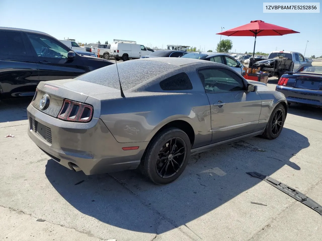 2014 Ford Mustang VIN: 1ZVBP8AM7E5252856 Lot: 60476104