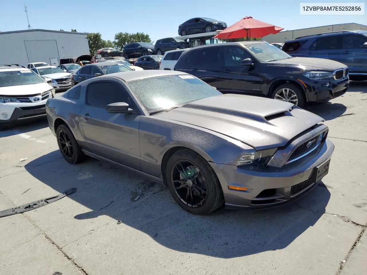 2014 Ford Mustang VIN: 1ZVBP8AM7E5252856 Lot: 60476104