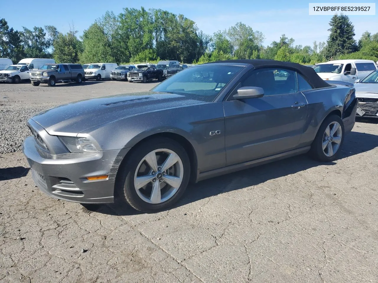 2014 Ford Mustang Gt VIN: 1ZVBP8FF8E5239527 Lot: 61280074