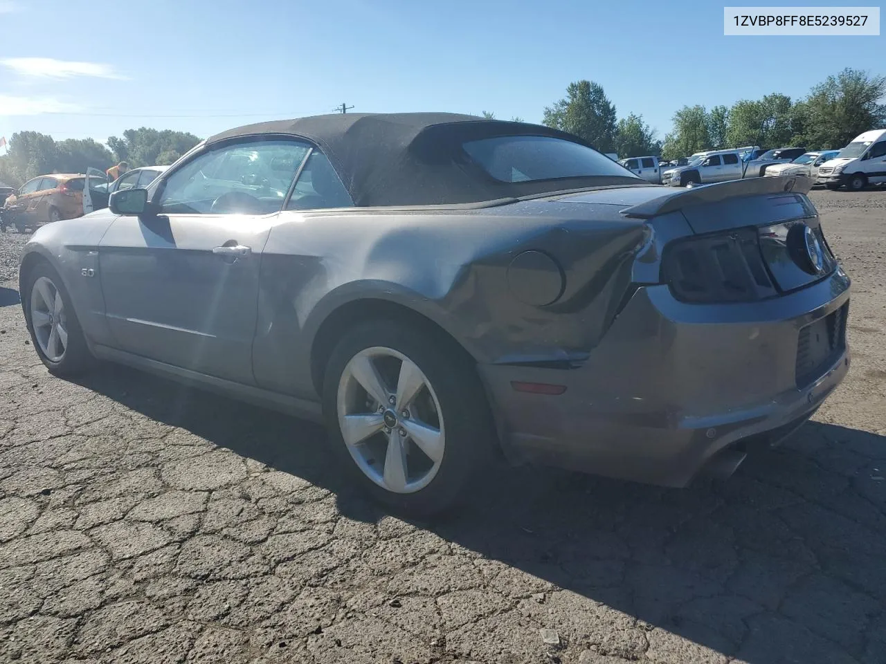 2014 Ford Mustang Gt VIN: 1ZVBP8FF8E5239527 Lot: 61280074