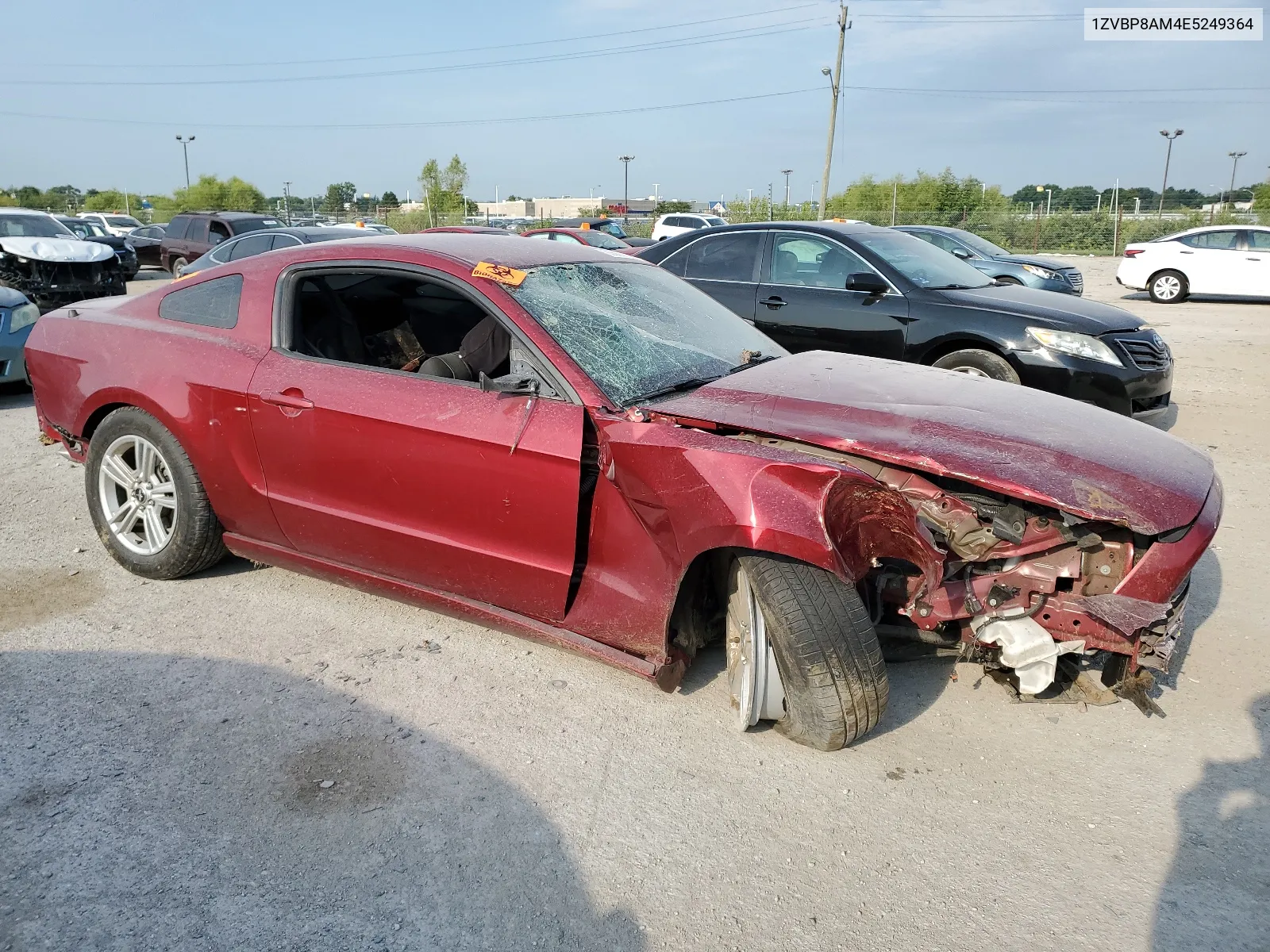 2014 Ford Mustang VIN: 1ZVBP8AM4E5249364 Lot: 63645114