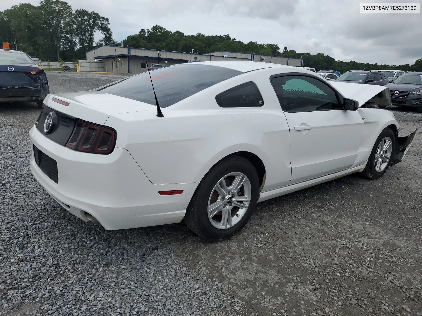 2014 Ford Mustang VIN: 1ZVBP8AM7E5273139 Lot: 64103664