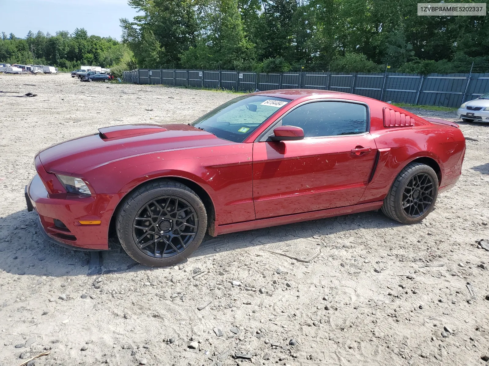 2014 Ford Mustang VIN: 1ZVBP8AM8E5202337 Lot: 64184484