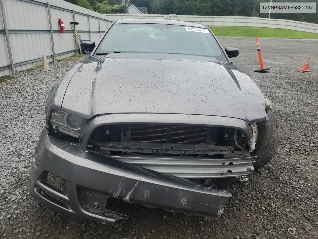 2014 Ford Mustang VIN: 1ZVBP8AM5E5331247 Lot: 64559674