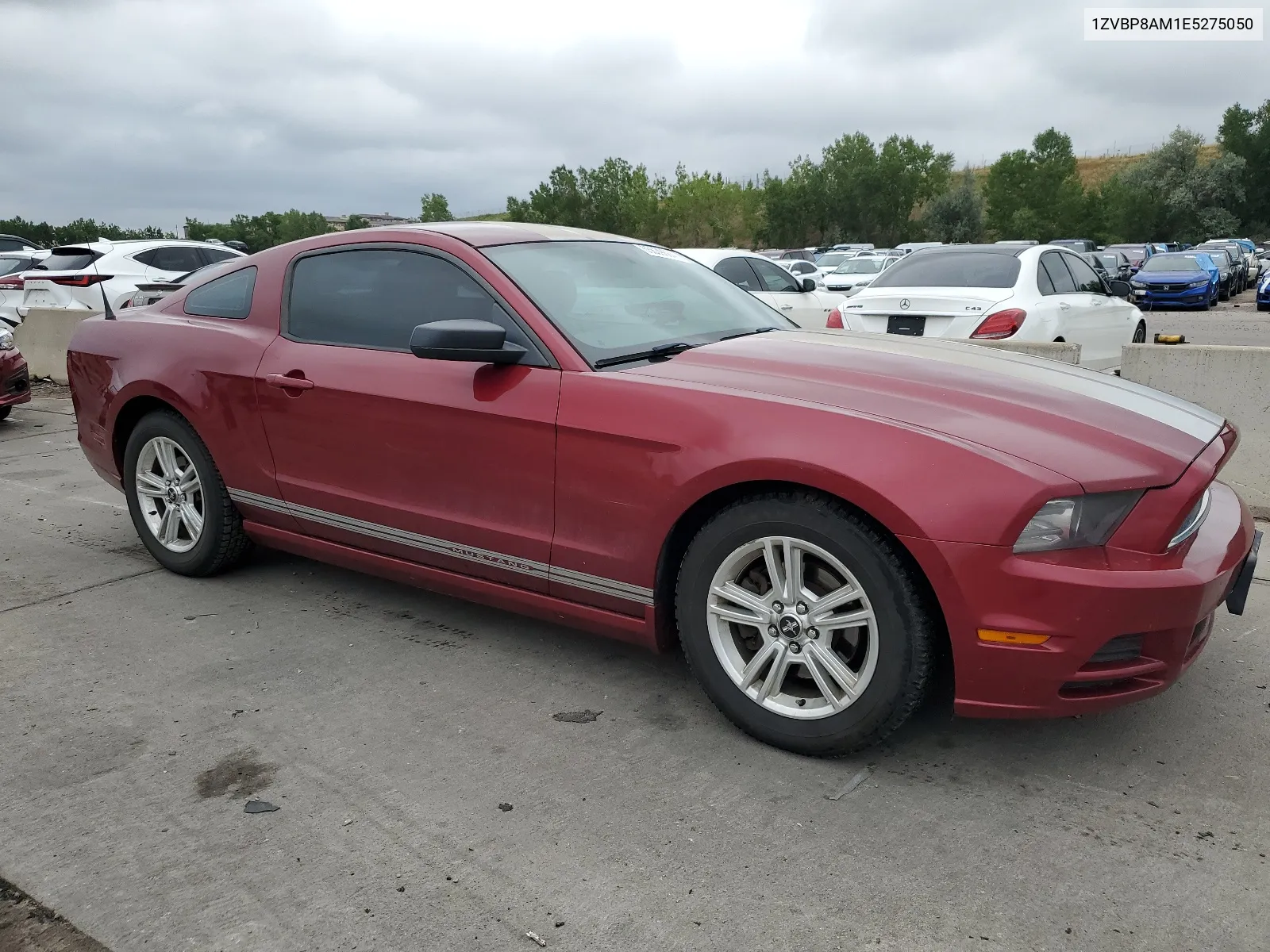 2014 Ford Mustang VIN: 1ZVBP8AM1E5275050 Lot: 65639684