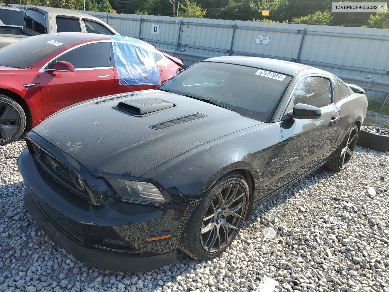 2014 Ford Mustang Gt VIN: 1ZVBP8CF9E5308214 Lot: 67687984