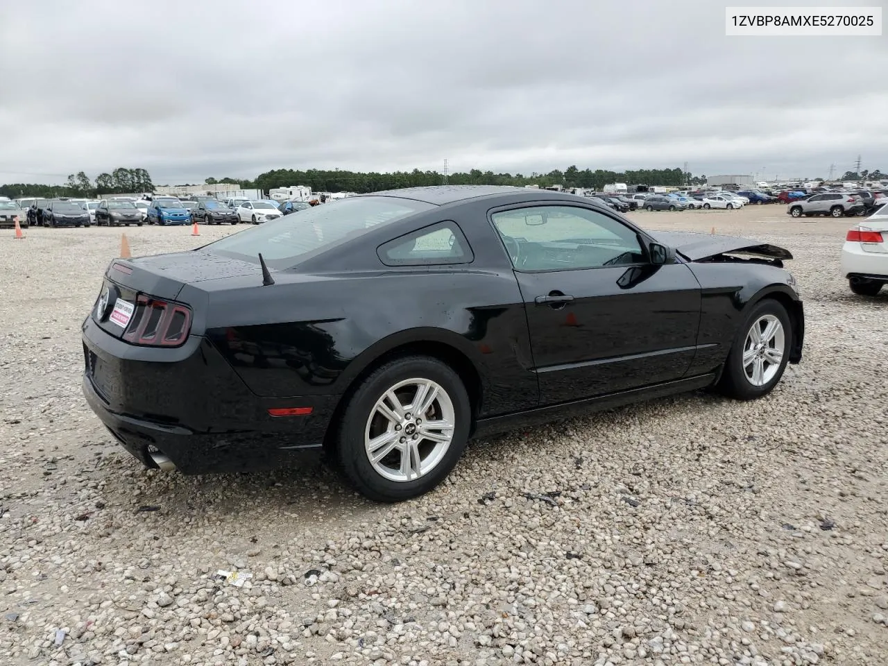 2014 Ford Mustang VIN: 1ZVBP8AMXE5270025 Lot: 69204054