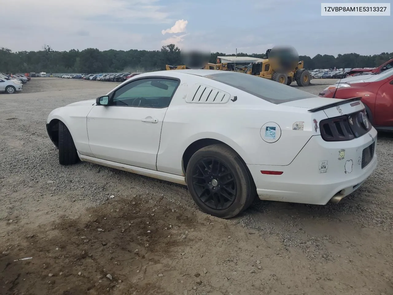 2014 Ford Mustang VIN: 1ZVBP8AM1E5313327 Lot: 69466014