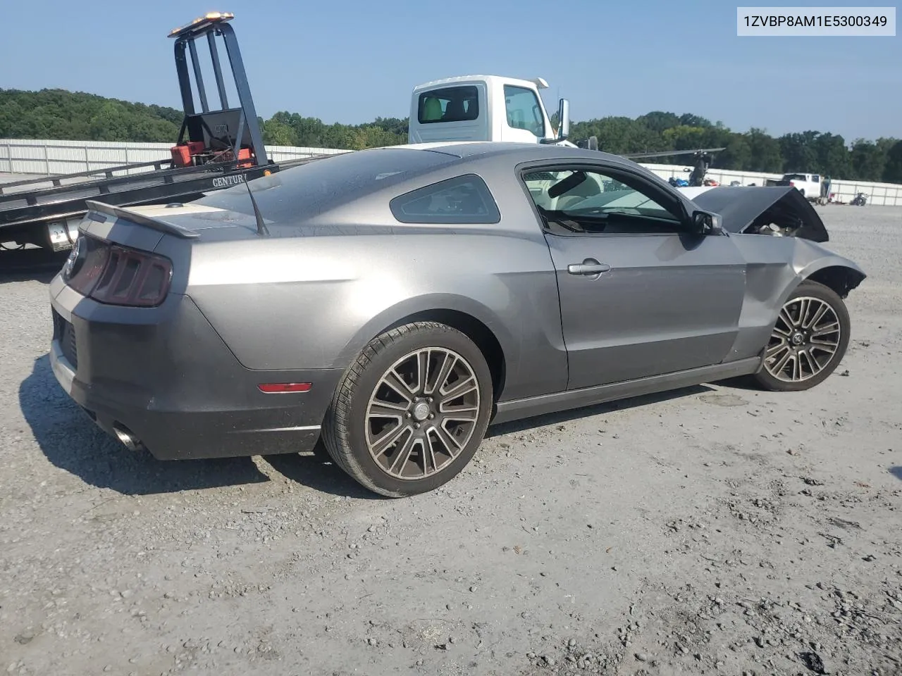 1ZVBP8AM1E5300349 2014 Ford Mustang