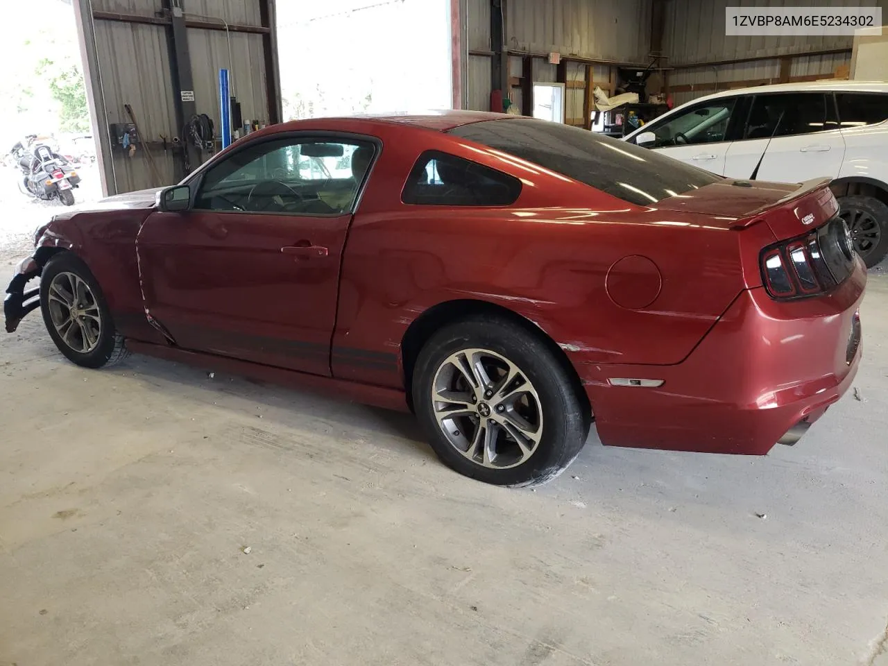 2014 Ford Mustang VIN: 1ZVBP8AM6E5234302 Lot: 69836684