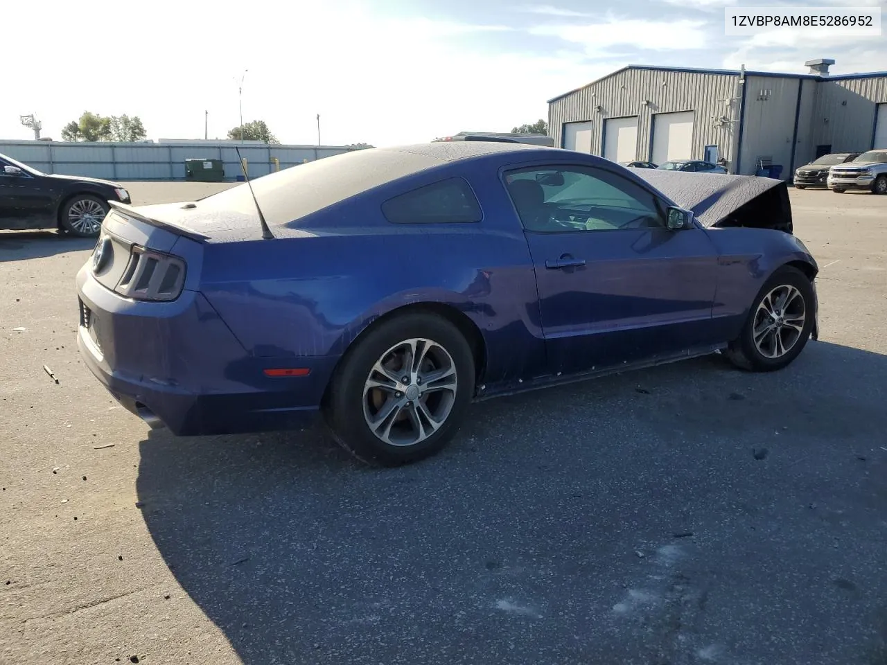 2014 Ford Mustang VIN: 1ZVBP8AM8E5286952 Lot: 70199444