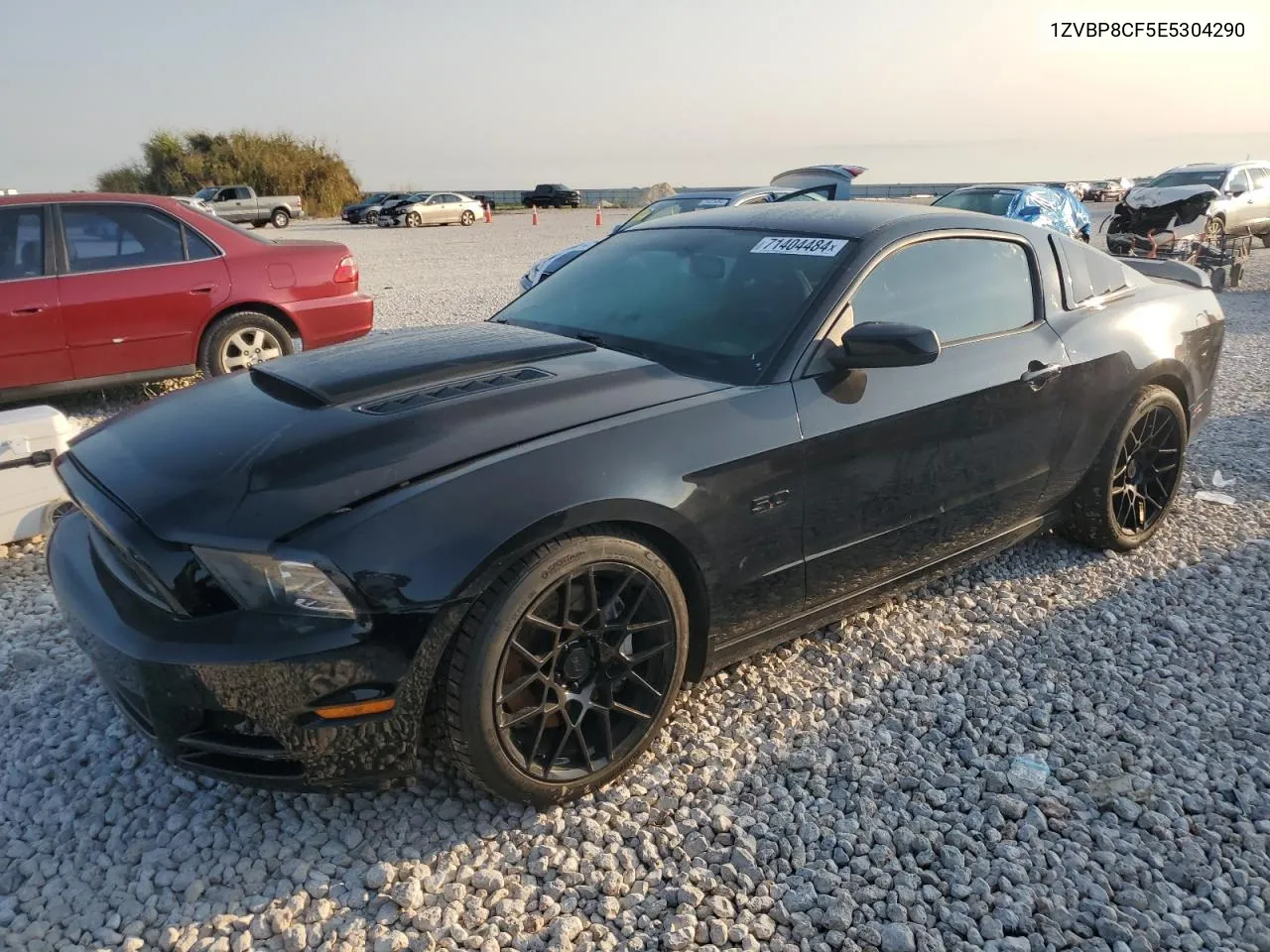 2014 Ford Mustang Gt VIN: 1ZVBP8CF5E5304290 Lot: 71404484