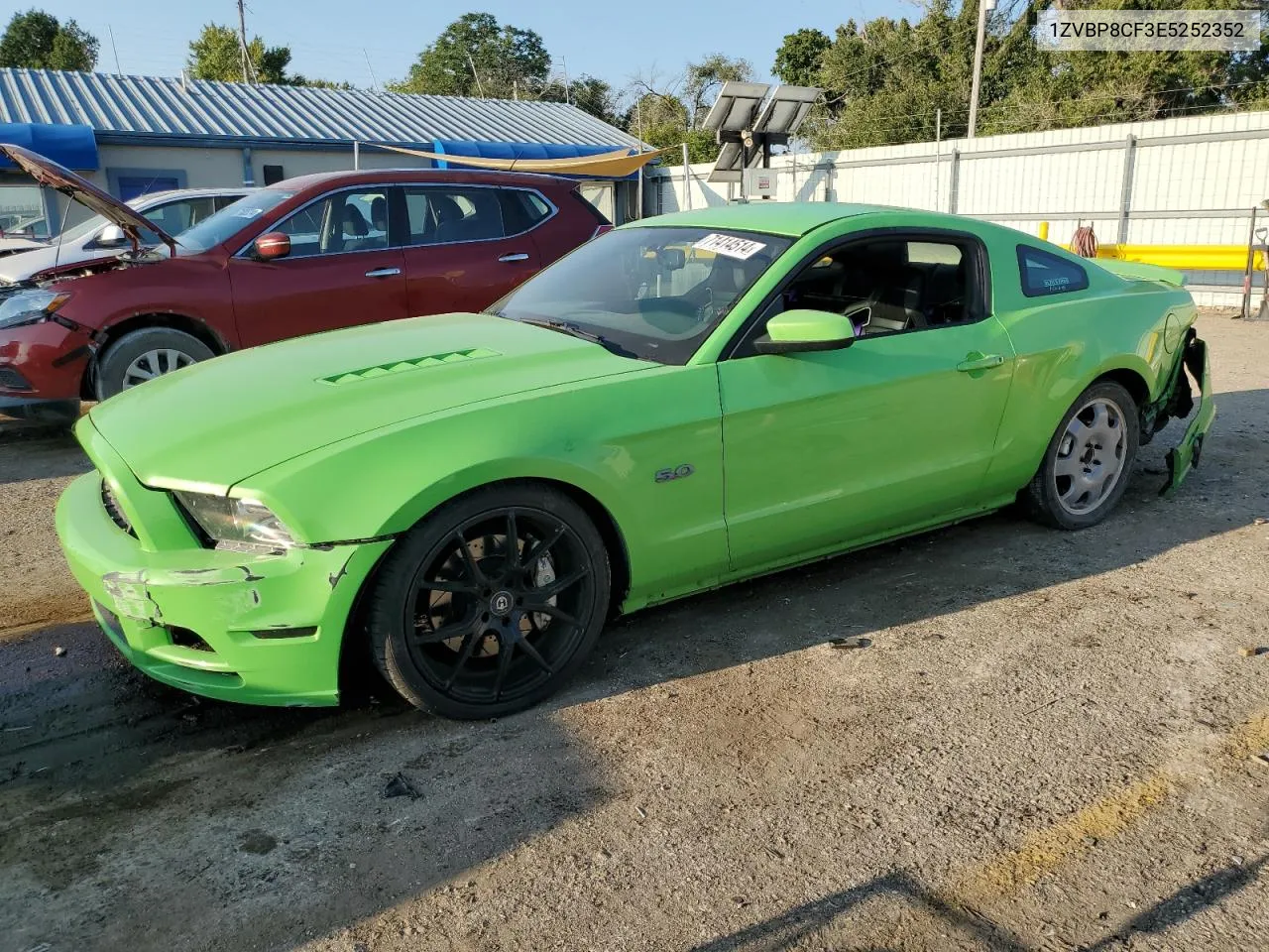 2014 Ford Mustang Gt VIN: 1ZVBP8CF3E5252352 Lot: 71414514