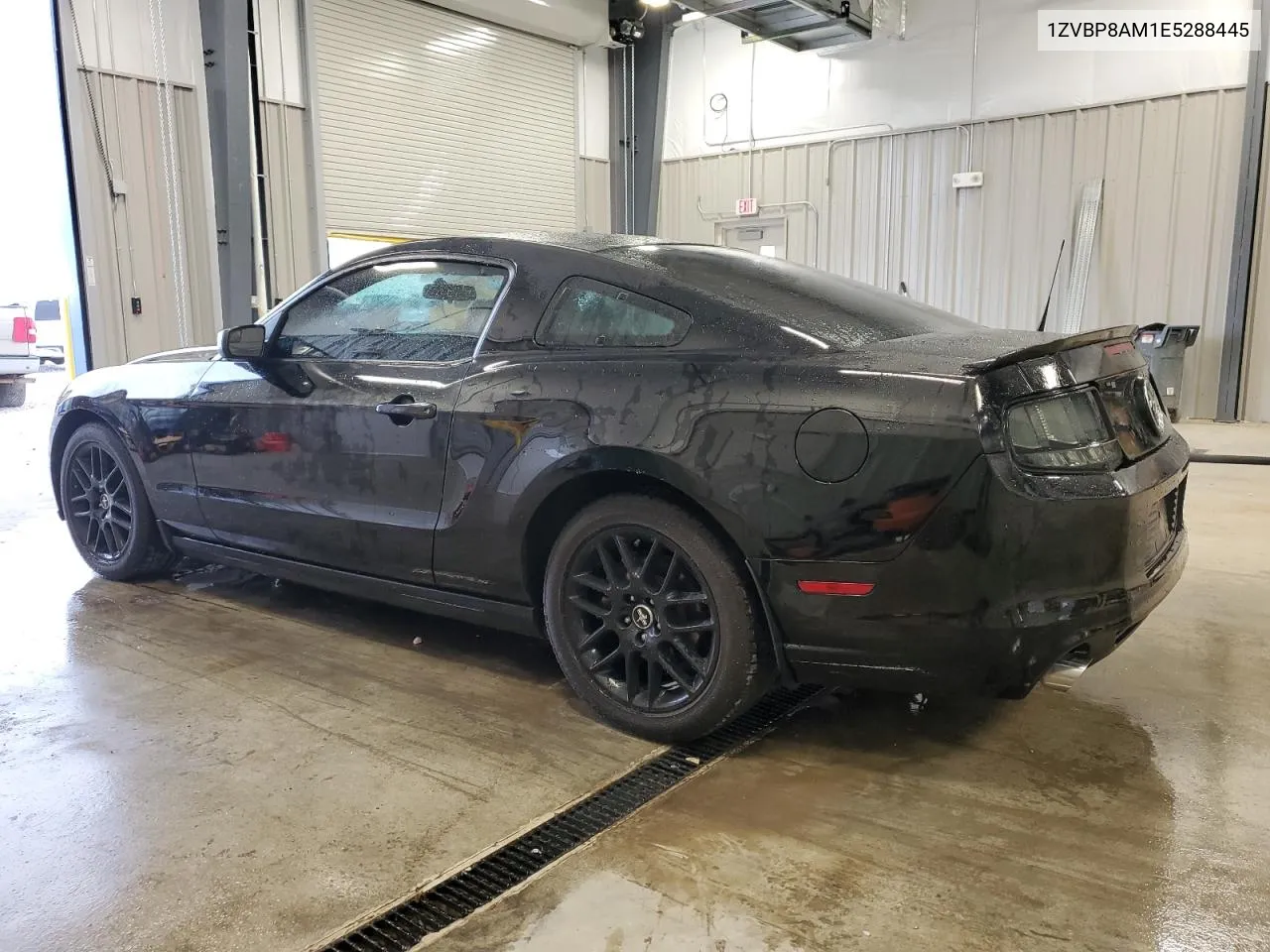 2014 Ford Mustang VIN: 1ZVBP8AM1E5288445 Lot: 71836824