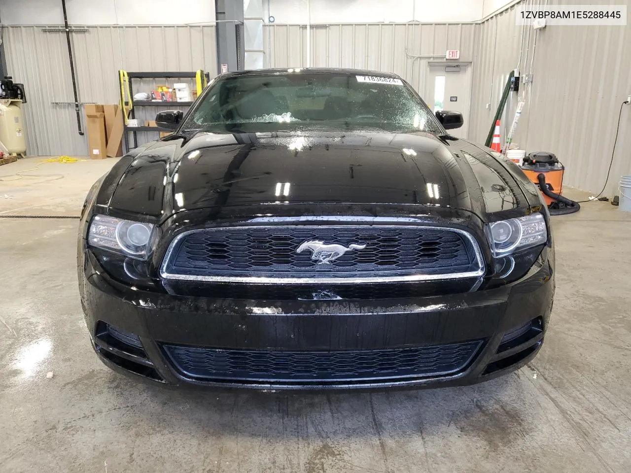 2014 Ford Mustang VIN: 1ZVBP8AM1E5288445 Lot: 71836824