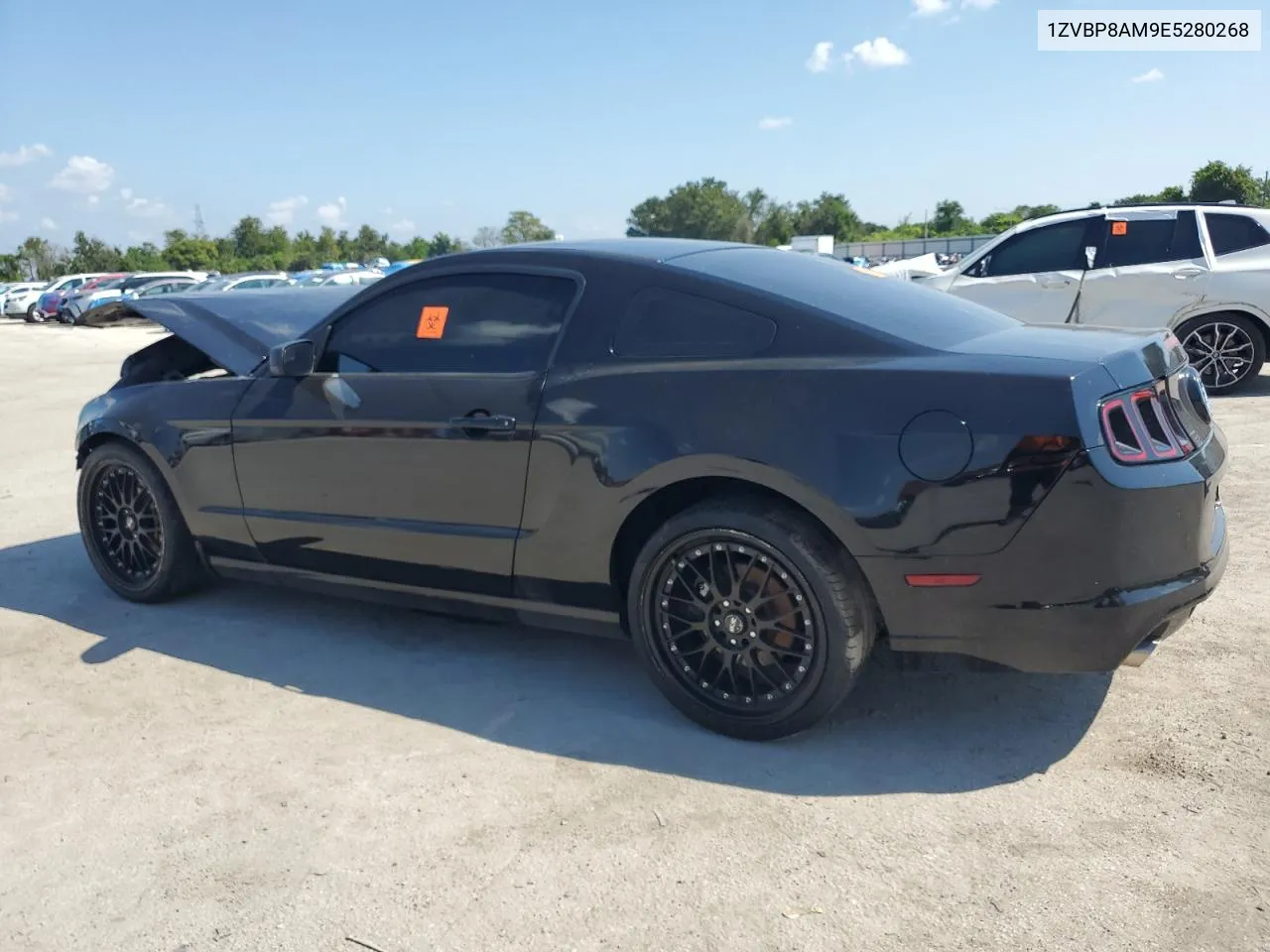 1ZVBP8AM9E5280268 2014 Ford Mustang