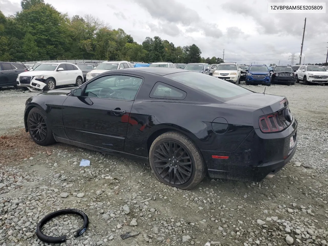 2014 Ford Mustang VIN: 1ZVBP8AM5E5205809 Lot: 72595504