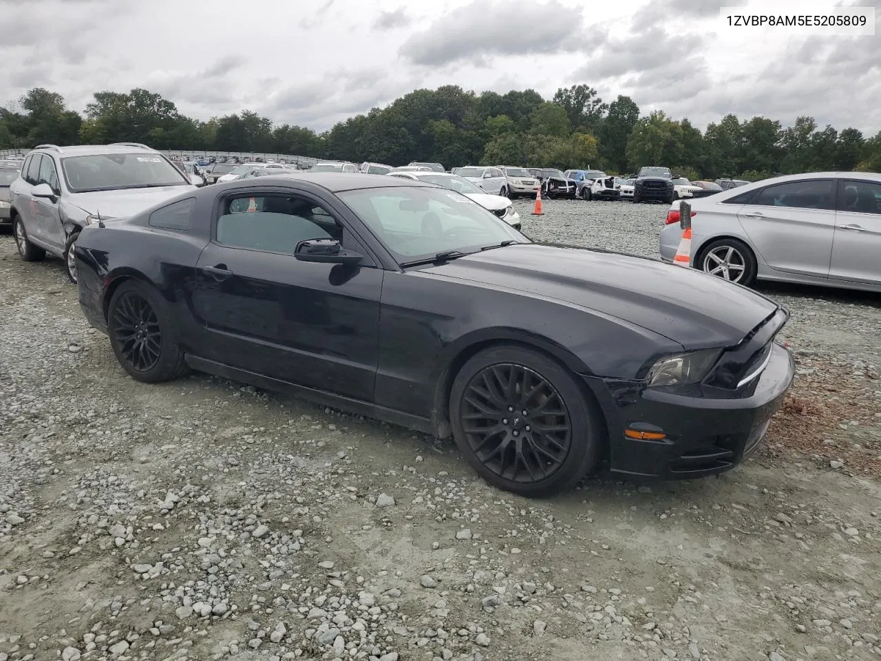 2014 Ford Mustang VIN: 1ZVBP8AM5E5205809 Lot: 72595504