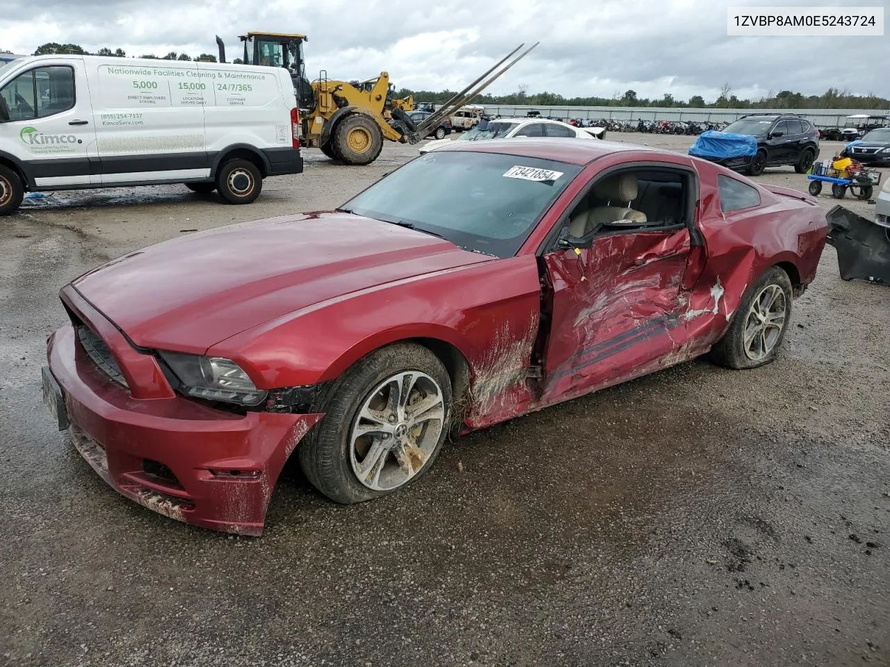 2014 Ford Mustang VIN: 1ZVBP8AM0E5243724 Lot: 73421854