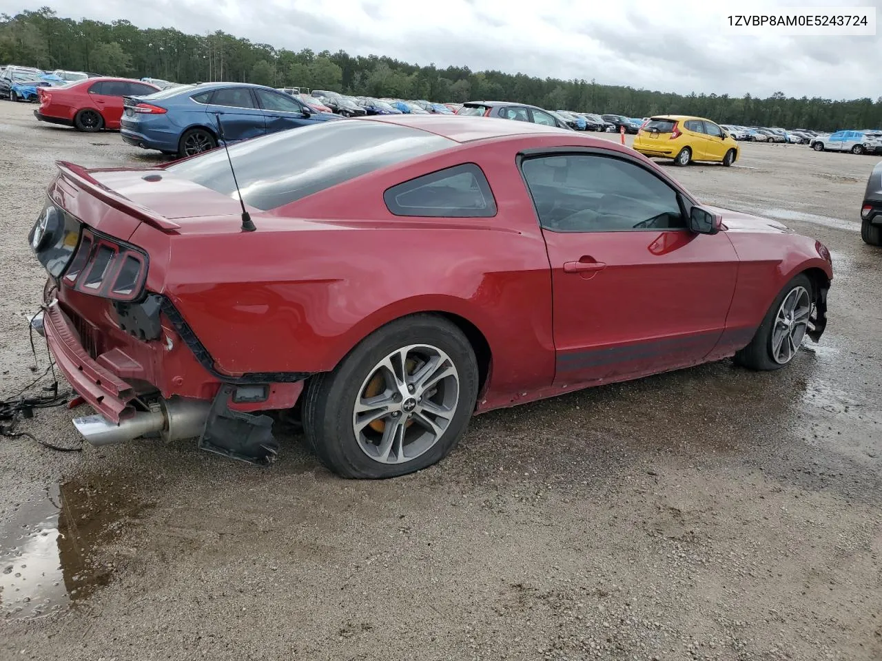 2014 Ford Mustang VIN: 1ZVBP8AM0E5243724 Lot: 73421854