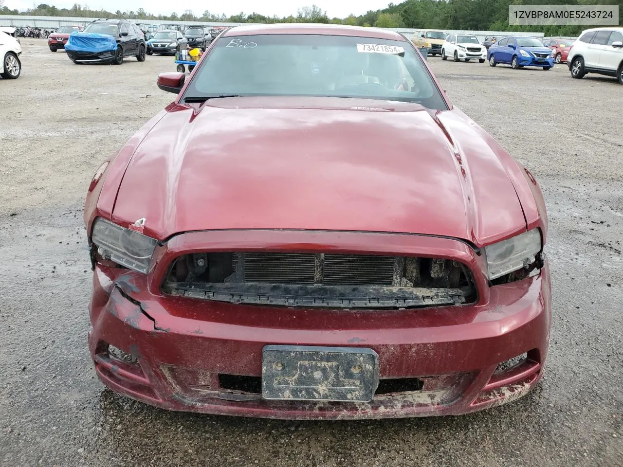 2014 Ford Mustang VIN: 1ZVBP8AM0E5243724 Lot: 73421854