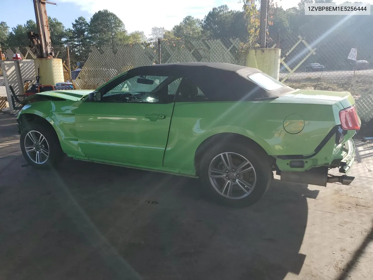 2014 Ford Mustang VIN: 1ZVBP8EM1E5256444 Lot: 75315084