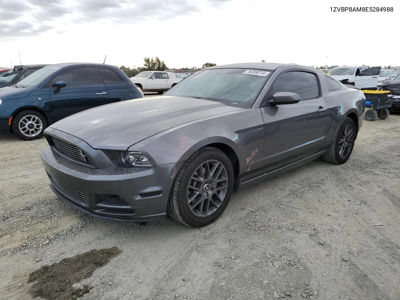 1ZVBP8AM8E5284988 2014 Ford Mustang