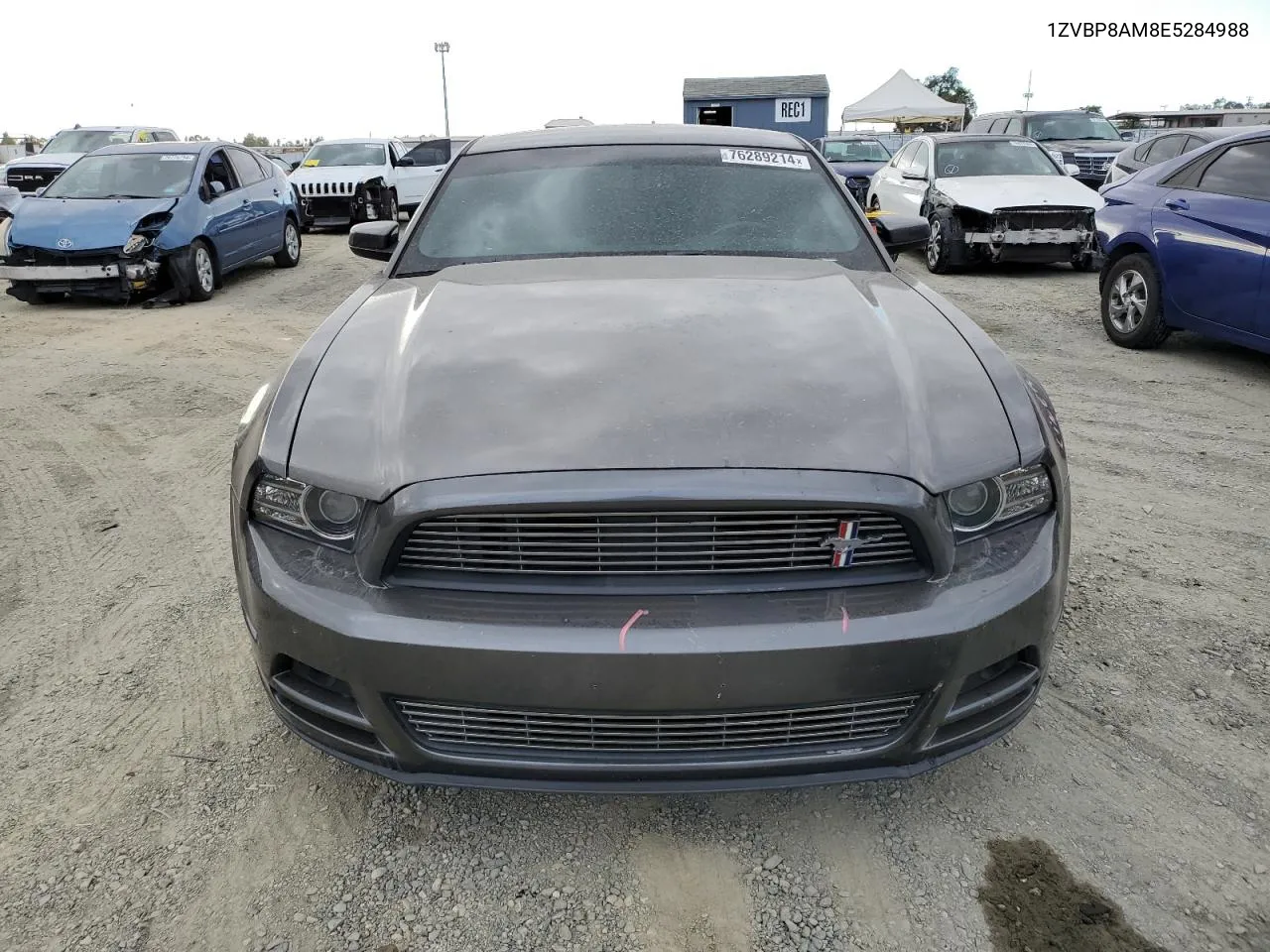 1ZVBP8AM8E5284988 2014 Ford Mustang