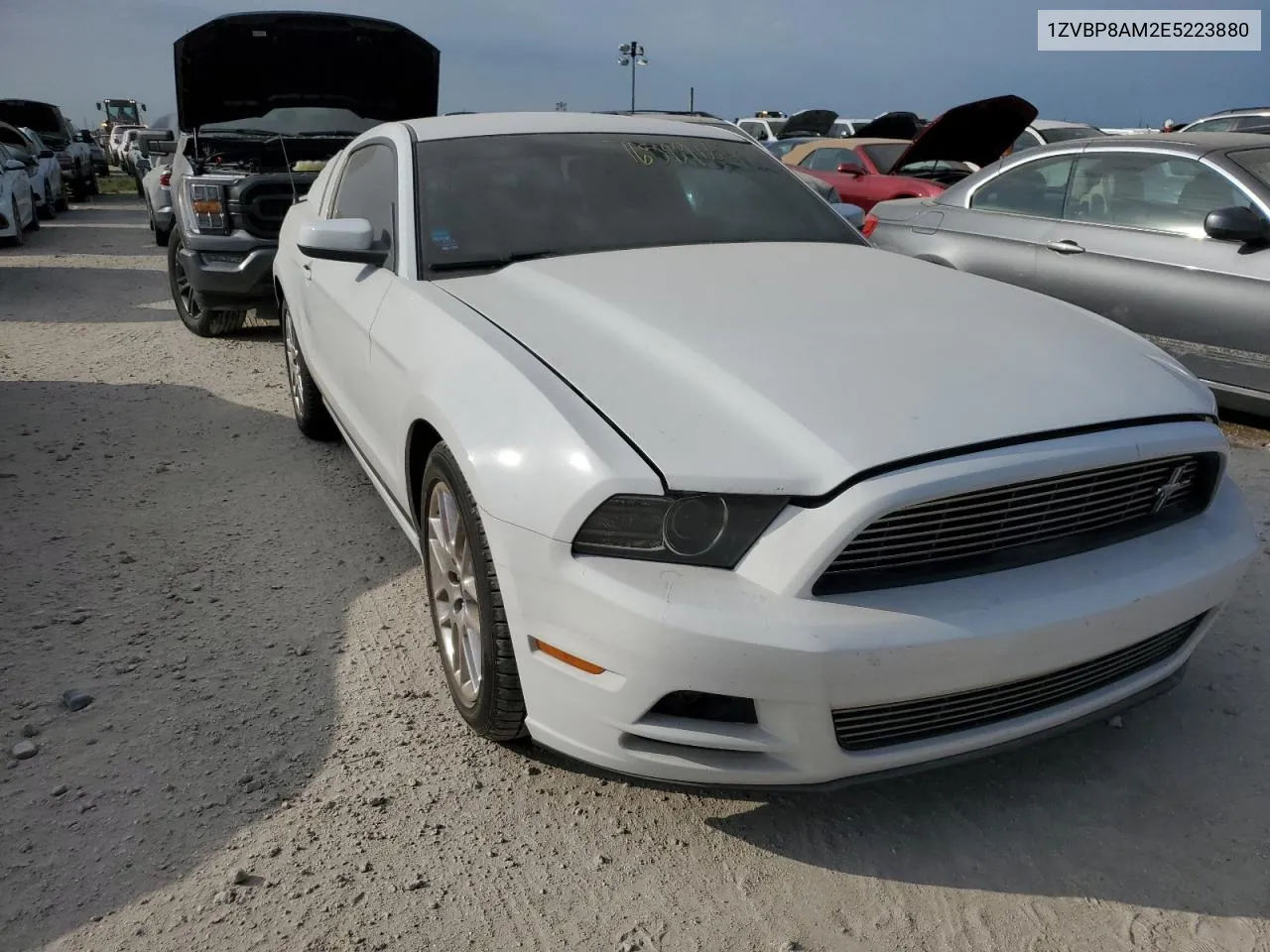 2014 Ford Mustang VIN: 1ZVBP8AM2E5223880 Lot: 76589164