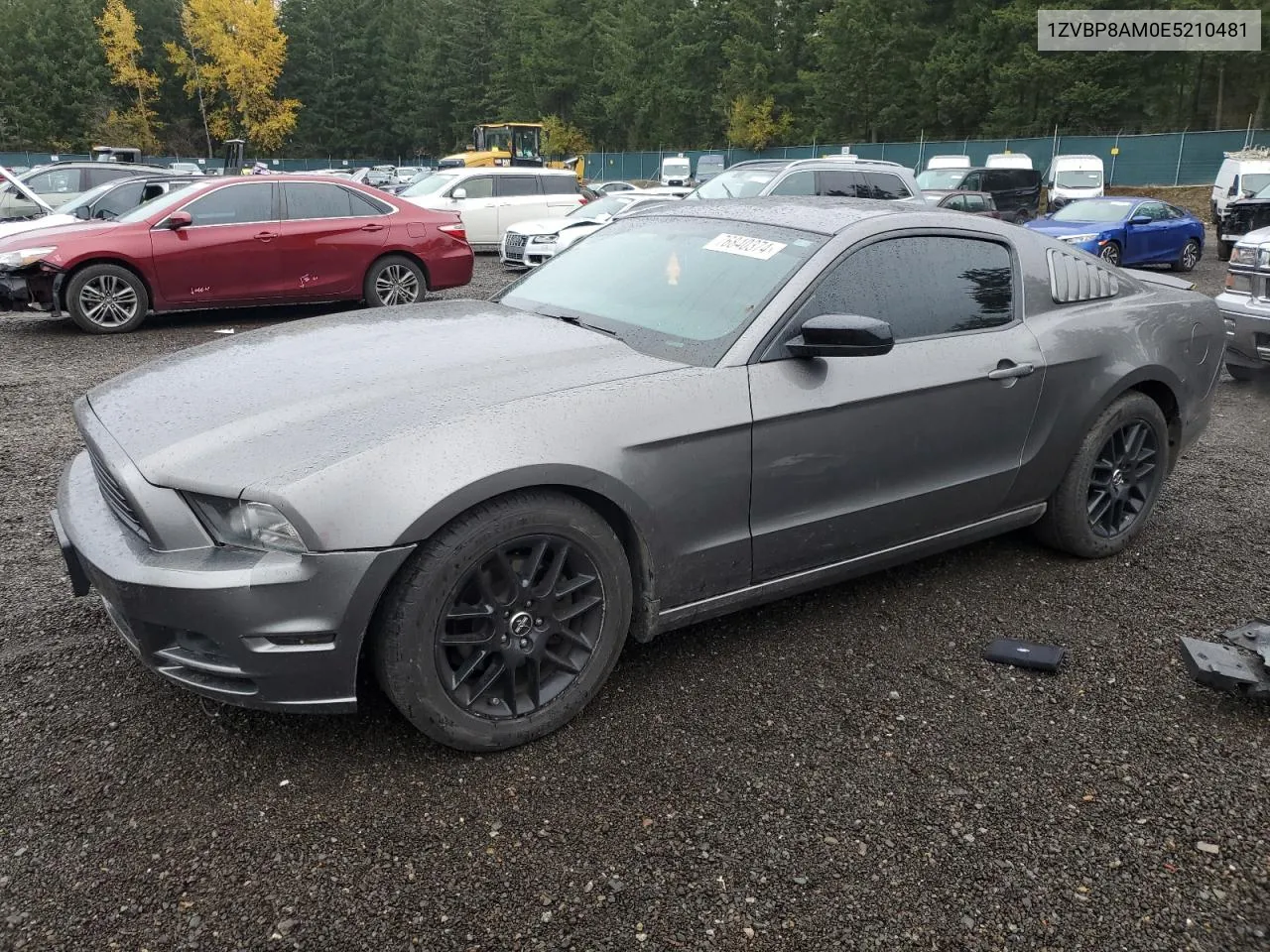 2014 Ford Mustang VIN: 1ZVBP8AM0E5210481 Lot: 76840374