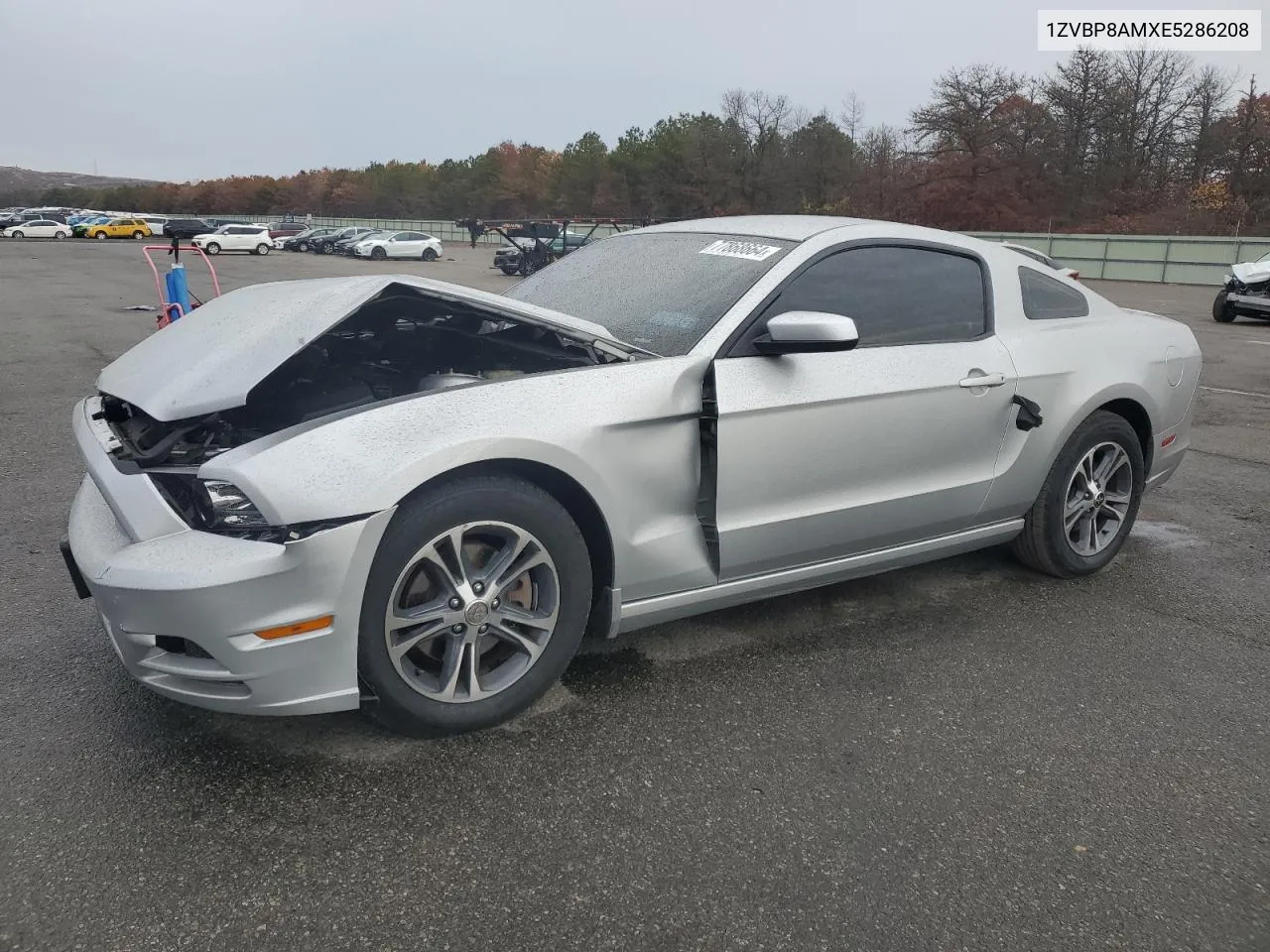 2014 Ford Mustang VIN: 1ZVBP8AMXE5286208 Lot: 77868664