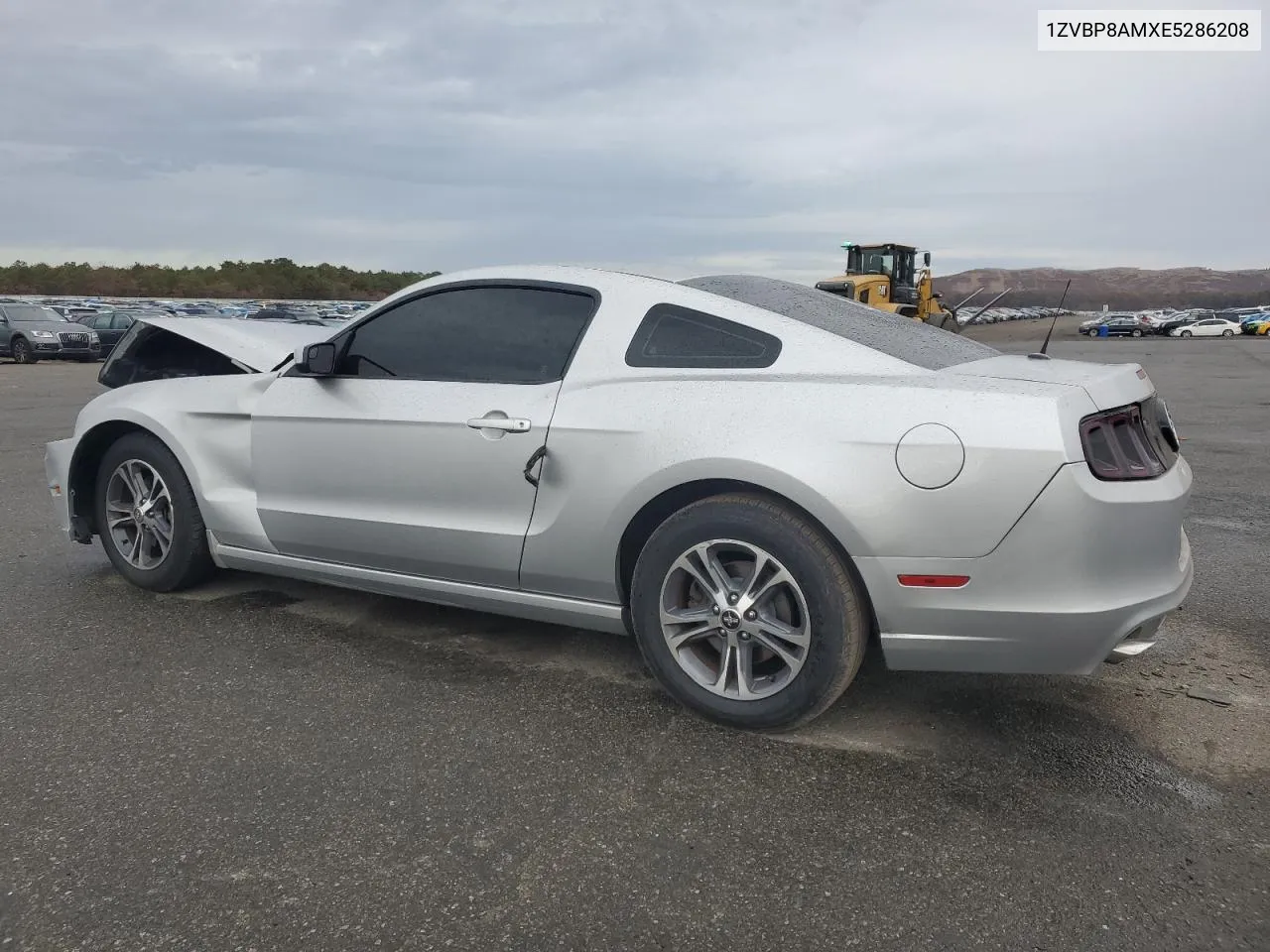 2014 Ford Mustang VIN: 1ZVBP8AMXE5286208 Lot: 77868664