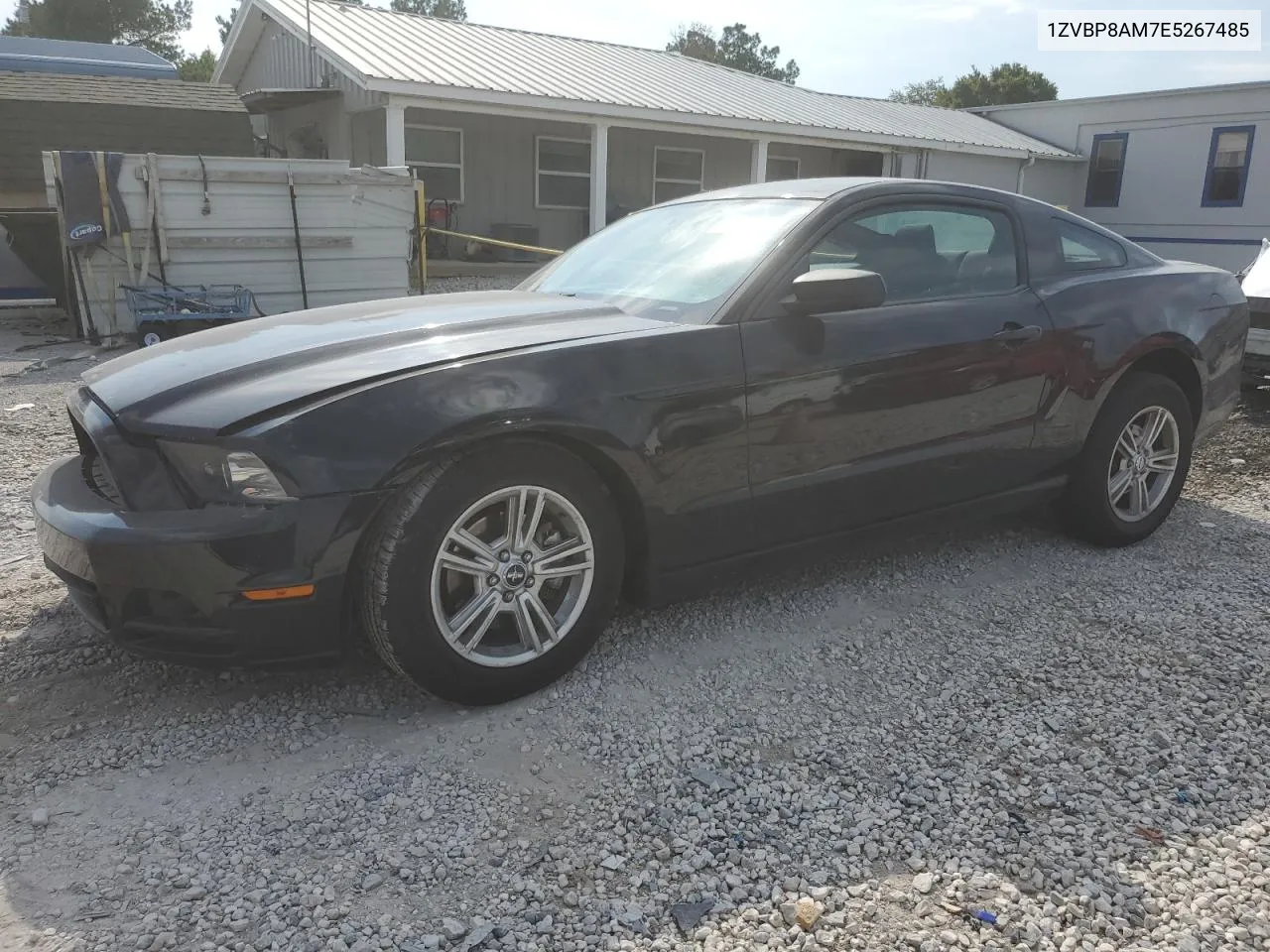 2014 Ford Mustang VIN: 1ZVBP8AM7E5267485 Lot: 79908934