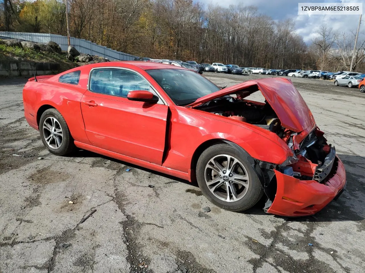 2014 Ford Mustang VIN: 1ZVBP8AM6E5218505 Lot: 80060034