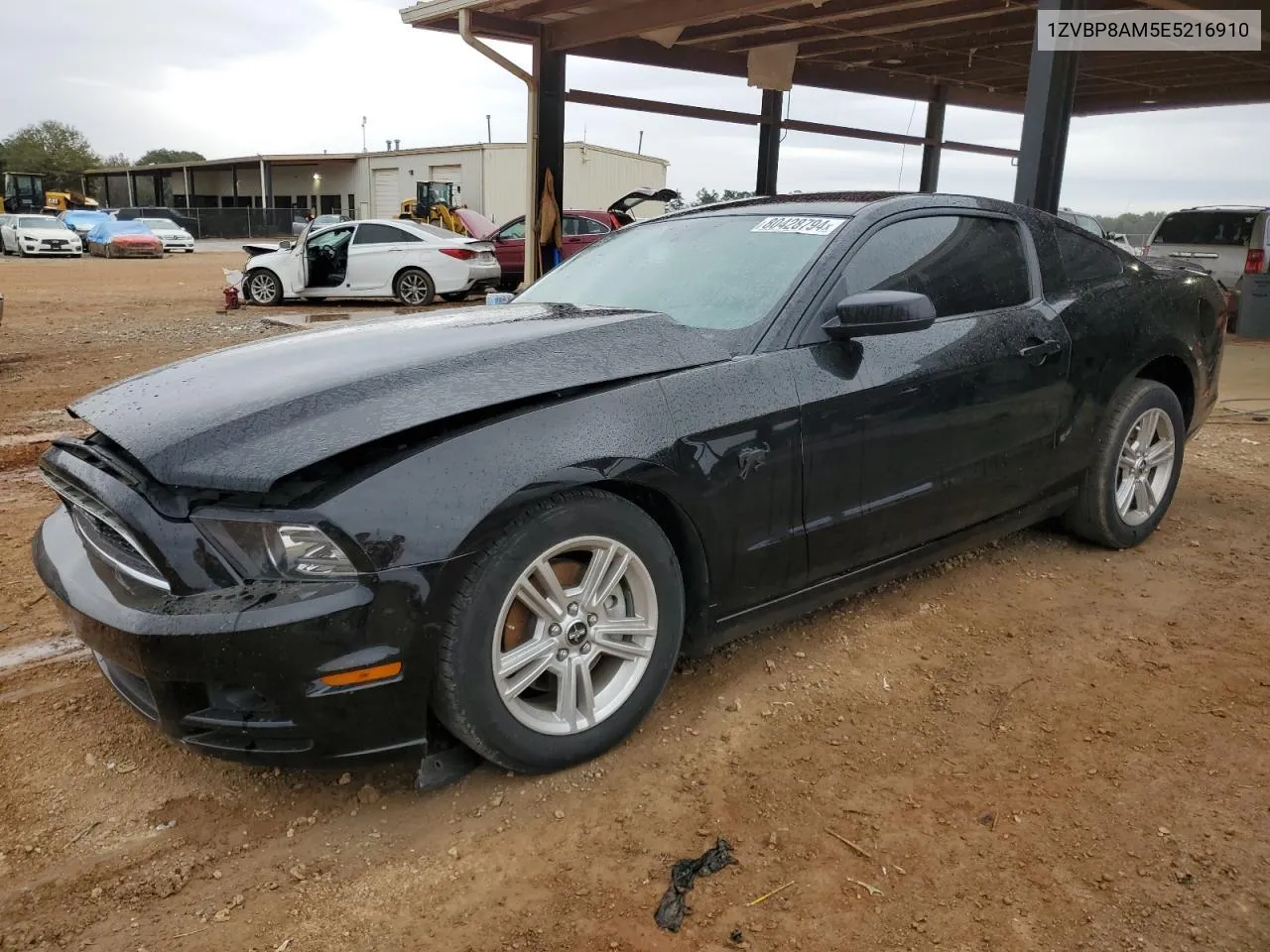 2014 Ford Mustang VIN: 1ZVBP8AM5E5216910 Lot: 80428794